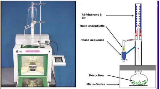 Figure 9 : Extraction par solvant assistée par micro-ondes 