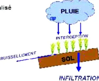 Figure  I.1  : l’influence de couvert végétale sur les pluies 