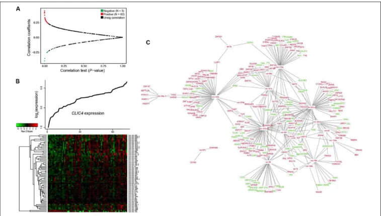 FIGURE 4 | Interaction network analysis of genome-wide microRNAs and their target genes associated with CLIC4 expression