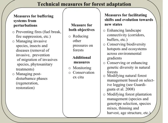 Figure 2.4 Examples of technical measures for forest adaptation (Locatelli et al. 2008).
