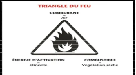 Figure n°1:Triangle du feu (Meddour, 2014 in Cherifi, 2017). 