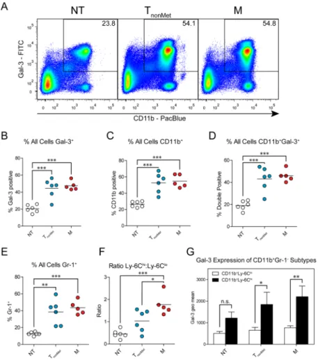 Figure 2. Tumor-derived soluble factors induce the mobilization of galectin-3 +  myeloid cells into  peripheral circulation early in tumorigenesis