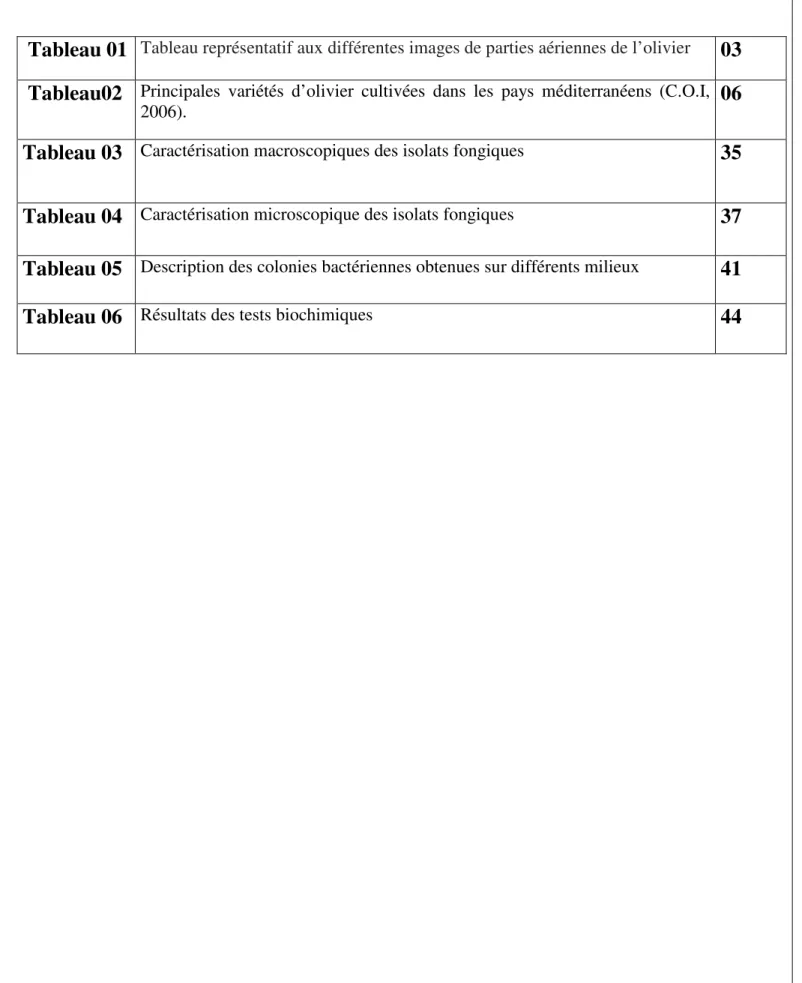 Tableau 06  Résultats des tests biochimiques 44 