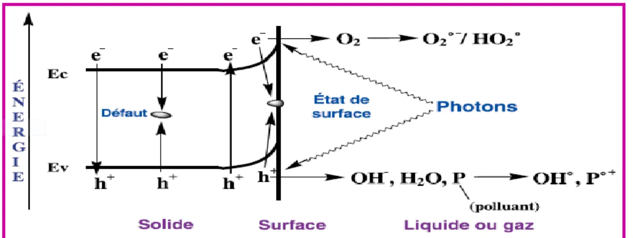 Figure 8 : Schéma montrant les bandes d’un oxyde semi-conducteur tel que TiO2. Sous  excitation photonique, les transferts d’électron ont lieu entre ces bandes, suivis de  transferts de charges (e- ou h+) aux groupes superficiels et aux espèces adsorbées o