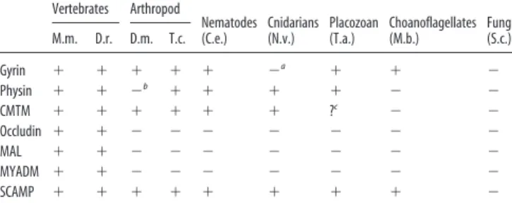 Table 1. Evolutionary conservation of selected MARVEL domain and SCAMP proteins Vertebrates Arthropod Nematodes (C.e.) Cnidarians(N.v.) Placozoan(T.a.) Choanoflagellates(M.b.) Fungi(S.c.)M.m.D.r.D.m.T.c