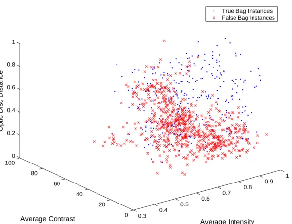 Fig. 5. Distribution of Instances in Feature Space