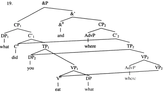 Table  1:  C-command  and  precedence  relations in the first conjunct in  (19) C-commandee I  nP,  I C  I  DnP DPI yi Co  xC DP 2   xJ Vu  x VU