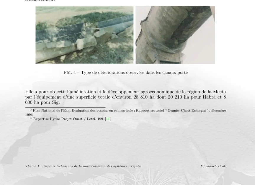 Fig. 4 – Type de d´ eteriorations observ´ ees dans les canaux port´ e