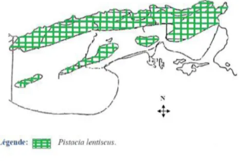 Figure 10: Aire de répartition de Pistacia lentiscus L. en Algérie (Quezel et Santa, 1993)