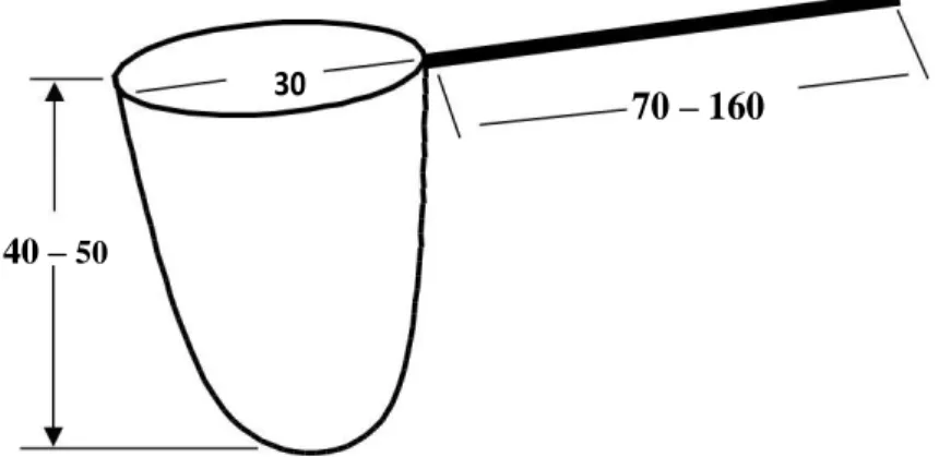 Figure nº07:Technique d’échantillonnage des arthropodes par le filet Fauchoir (SOUTTOU,  2002)