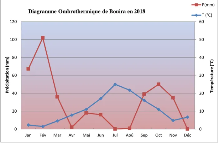 Figure n°2 : Diagramme ombrothermique de Bouira en 2018. 