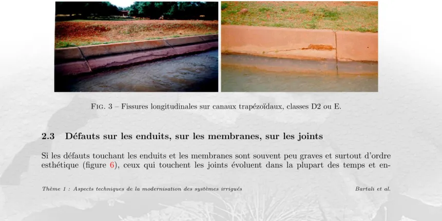 Fig. 3 – Fissures longitudinales sur canaux trap´ ezo¨ıdaux, classes D2 ou E.