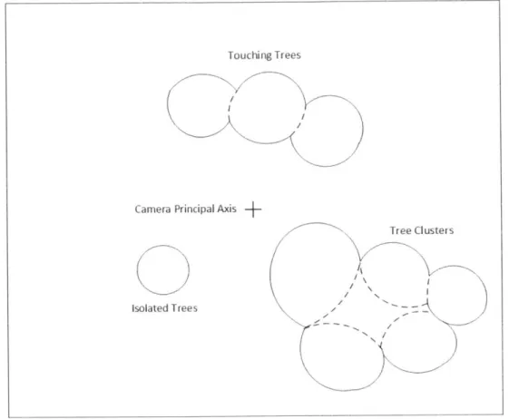 Figure  11:  Different  types  of horizontal crown  profiles  as seen  by an  overhead  camera showing  isolated, touching  and clusters  of  crowns