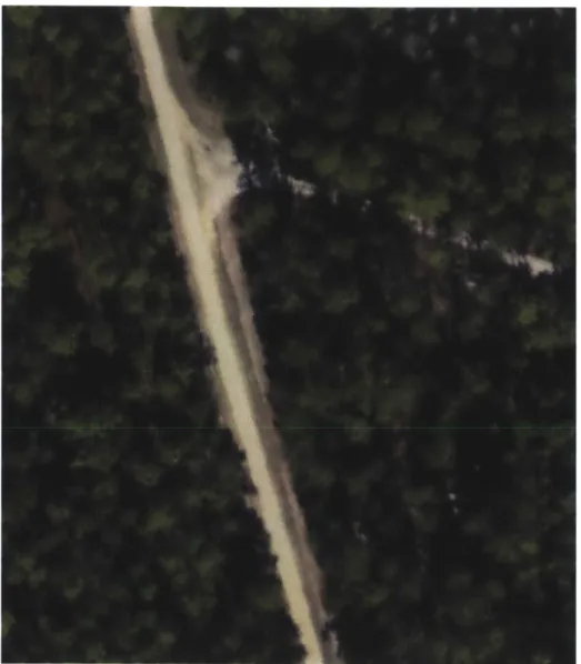 Figure  13:  Original orthophoto  input  image  of  Lake Mize  test site (Source:  USGS - Google  Earth)