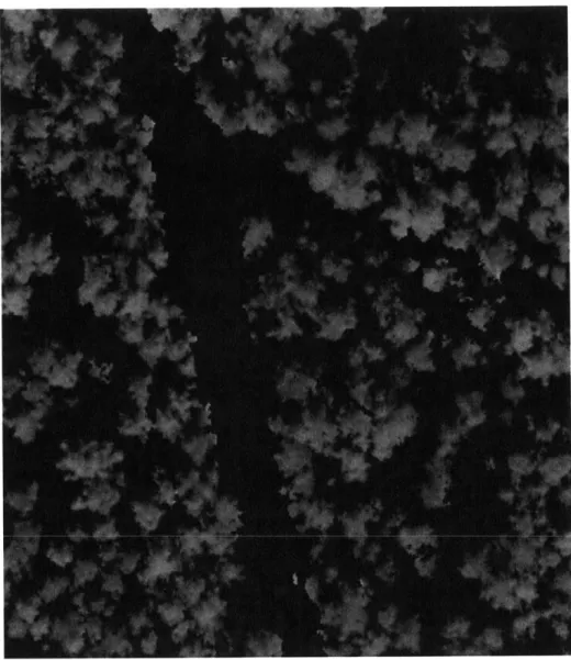Figure  16:  Result  after application  of  Gaussian  blur function  using erosion  and dilation  techniques  to  remove spurious  pixels