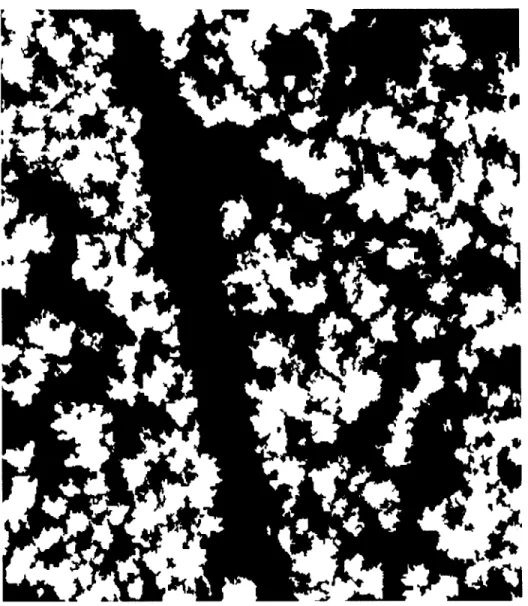 Figure  17:  Resultant image  after  creating a  binary copy  of  the grayscale  image