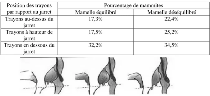 Tableau I: relation entre la hauteur des trayons au jarret et le pourcentage de mammites [5]  