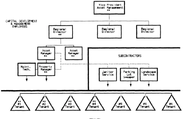Figure  3.1:  Capital  Development  and  Management  Organization  Chart