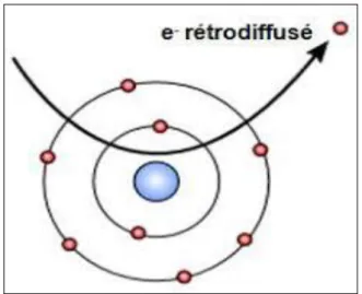 Figure II.7: électrons rétrodiffusés 