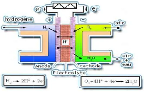 Figure 6 : Production de l’électricité dans une pile à 