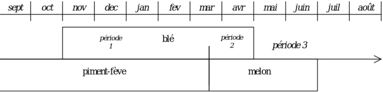 Figure 9: p´eriodes de pr´esence pour les trois principales cultures `a El Mesalsa