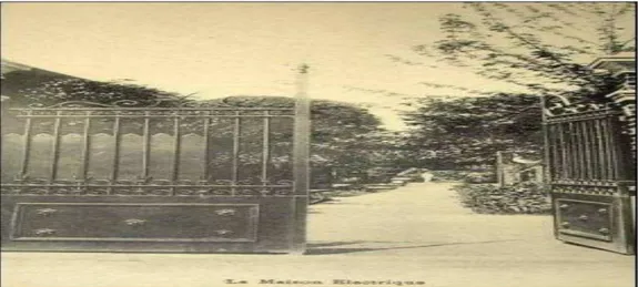 Figure I.1: Photo du portail électrique de « villa electra » de G.Knap [B1] . 