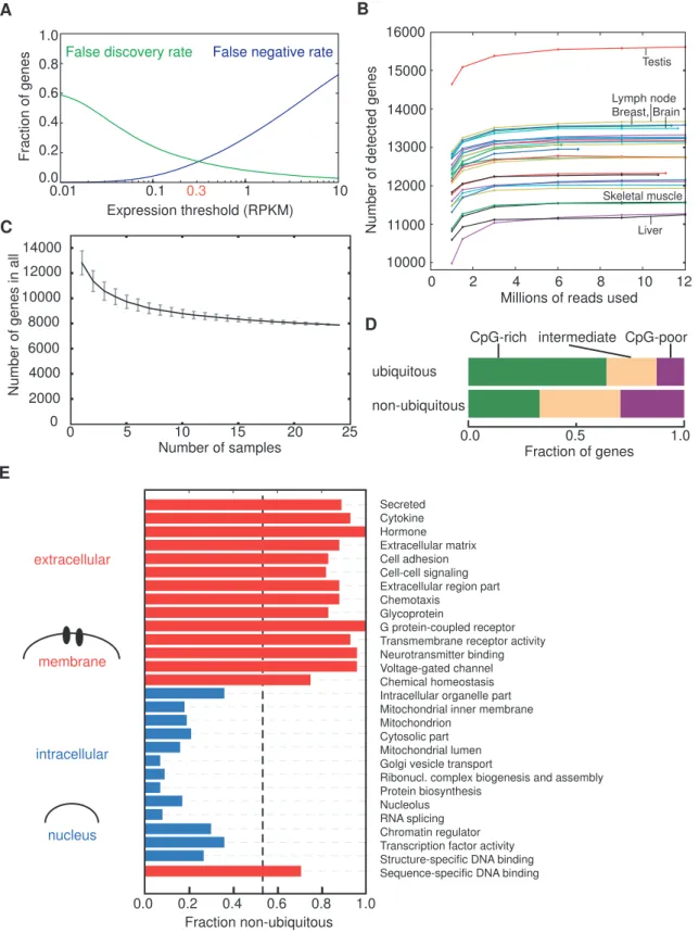 Figure 1. Functions of ubiquitous genes. (A) False discovery and negative rate for the detection of genes as a function of detection threshold used, demonstrating how a threshold of 0.3 RPKM was chosen