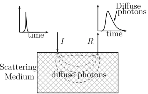 Fig. 1. Propagation of a light pulse in a turbid media