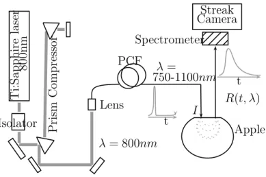 Fig. 3. Setup for TRS measurements