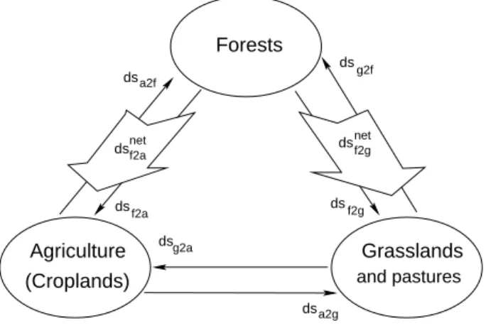 Figure 1. Land-use transitions accounted for in the model, within a model