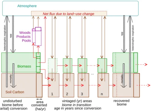 Figure 3. Schematic representation of the terrestrial carbon stocks and fluxes cal- cal-culated in the model, within a particular grid point, and for a particular transition (here forest to grasslands)