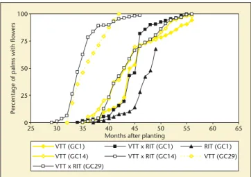 Table 4. Origin of the VTT × RIT hybrid parents used in the trials.