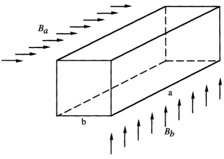 Figure  2-3  A conductor  with rectangular  cross section  subjected  to time- time-varying magnetic  field  in two principal  directions  [7].