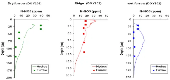 Fig. 3.3.2 – Concentration de nitrate le 20 juillet après une irrigation, sous la raie sèche (dry furrow), le billon (ridge) et la raie humide (wet furrow) dans la pratique AFI