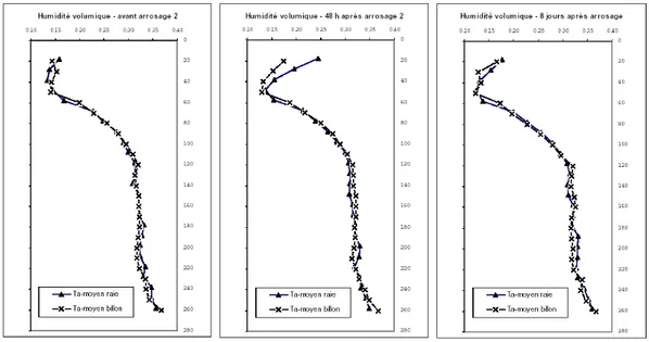 Fig. 1.2.1 – Humidité avant et après la seconde irrigation sur le site T a -moyen - figure tirée de (Nemeth, 2001)