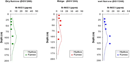 Fig. 3.3.4 – Concentration de nitrate en fin de saison de culture, sous la raie sèche (dry furrow), le billon (ridge) et la raie humide (wet furrow) dans la pratique AFI
