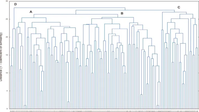 Figure 2 - Dendrogram based on UPGMA model calculated from genetic distances among American cassava genotypes from Santa Isabel (A), São Paulo (B), Brazil (C) and world collection (D), employing 88 RAPD markers.