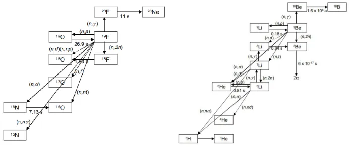 Figure 1.7: Nuclear reactions with Flibe salt [35]. 