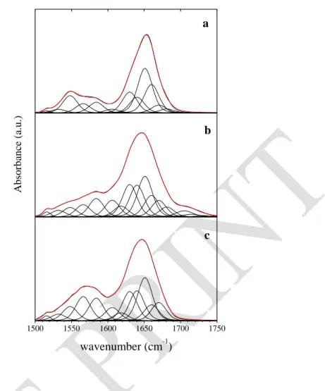 Figure 2. Decomposition of the infrared spectra of BSA at t = 2 h. BSA in solution, 30 g