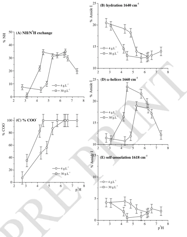 Figure 3. For various p 2 H at t = 2 h, effects of BSA concentration on : the amount of residual  peptide NH (% of the overall peptide units) (A); the amount of hydrated peptide carbonyls (% 