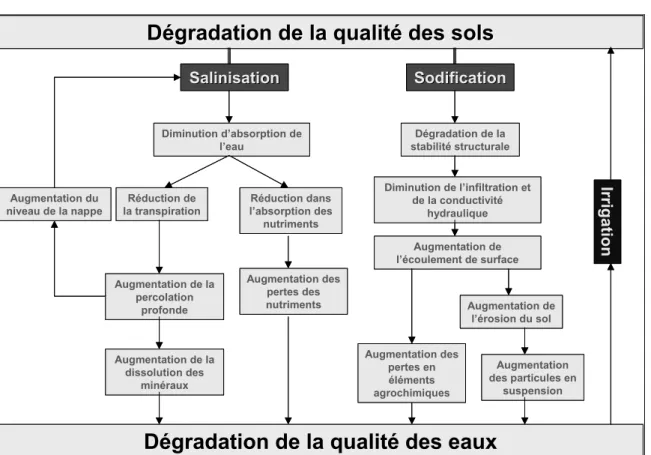 Figure 1. Processus de dégradation de la qualité des sols suite à l’irrigation 