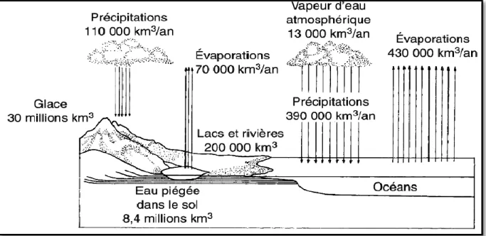 Figure II-1 : Cycle hydrologique : Evaporation- Précipitation- Ruissellement [10].  