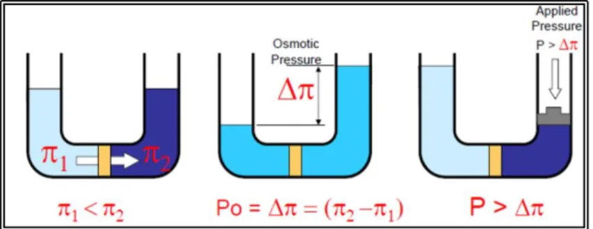 Figure I.8:Principe du procédé d’électrodialyse. 