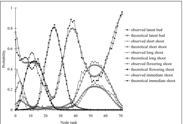 Figure 4. Apple tree (cultivar ‘Reinette B.’): intensity point of view.