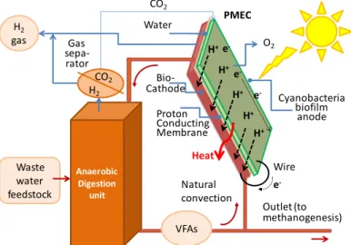 Figure 2. Integration of the PMEC photosynthetic microbial electrochemical cell with DF