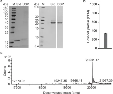 Figure 3.2. Production and purification of engineered P2-VP8-P[4] on the InSCyT system