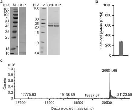 Figure  3. 4. Production and purification of engineered P2-VP8-P[6] on the InSCyT system