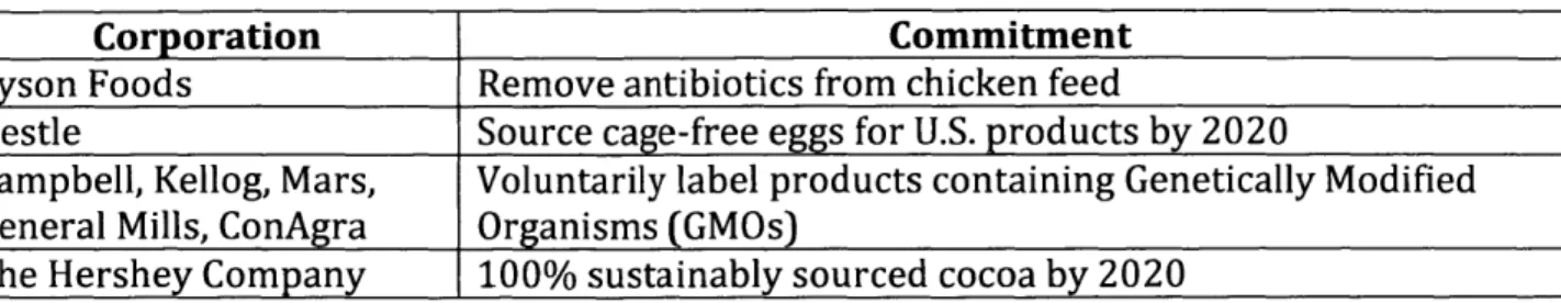 Table 3:  Example  Corporate Social  Responsibility  (CSR)  Commitments