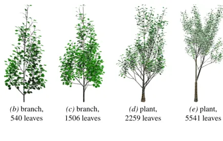 Figure 10: (a) to (e) Various structures issued from a model of a poplar tree, all represented in their local coordinate system