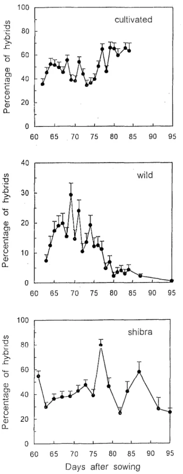 Fig.  3.  Pcrccnlagz  of  hybrik  in  lhc  protlucrion  of  culrivntctl,  wild,  arid  shibrn  /lCilrl  niilkl  scctls  in  rclatinn  lo  the  day  Of  fcrtilimrion